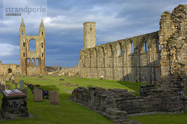 Die Ruinen der Kirche St. Rule's und der Kathedrale  St. Andrews  Fife Region  Schottland  Vereinigtes Königreich  Europa