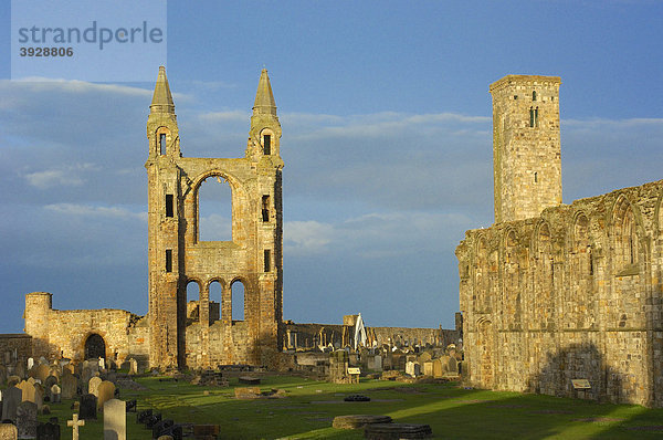 Die Ruinen der Kirche St. Rule's und der Kathedrale  St. Andrews  Fife Region  Schottland  Vereinigtes Königreich  Europa