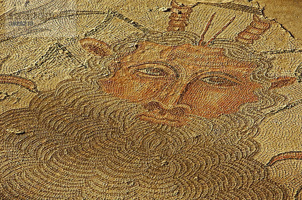 Mosaik im Carranque römisch-archäologischen Park  Provinz Toledo  Kastilien-La Mancha  Spanien  Europa