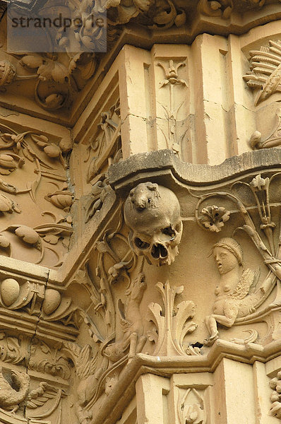 Hauptfassade  Säulendetail  Universität Salamanca  Salamanca  Kastilien-LeÛn  Spanien  Europa