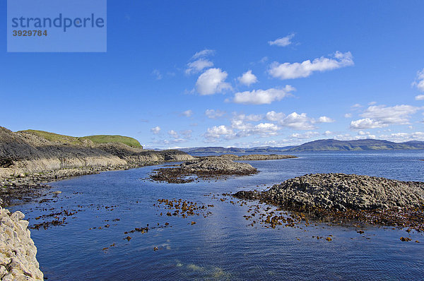 Isle of Staffa Nature Reserve Naturschutzgebiet  Innere Hebriden  Argyll and Bute Distrikt  Schottland  Vereinigtes Königreich  Europa