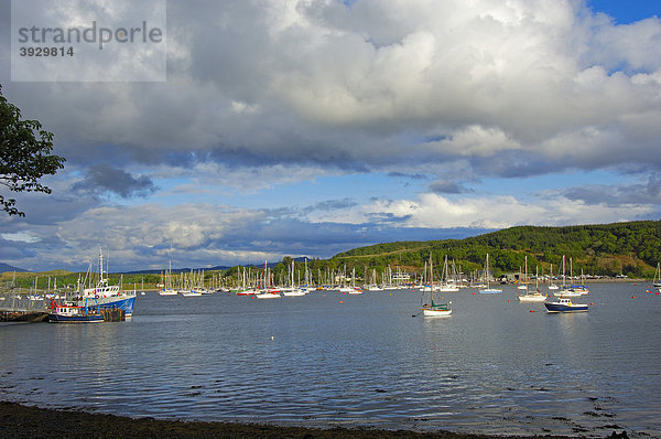 Kleiner Hafen in der Nähe von Oban  Argyll and Bute Distrikt  Highlands  Schottland  Vereinigtes Königreich  Europa