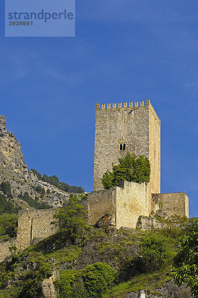 Yedra Burg im Dorf Cazorla  Sierra de Cazorla  Segura y Las Villas Naturpark  Provinz Jaen  Andalusien  Spanien  Europa