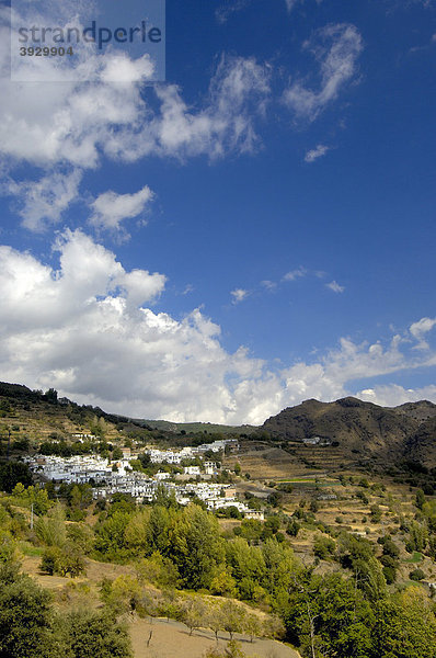 Busquistar  Alpujarras  Provinz Granada  Andalusien  Spanien  Europa