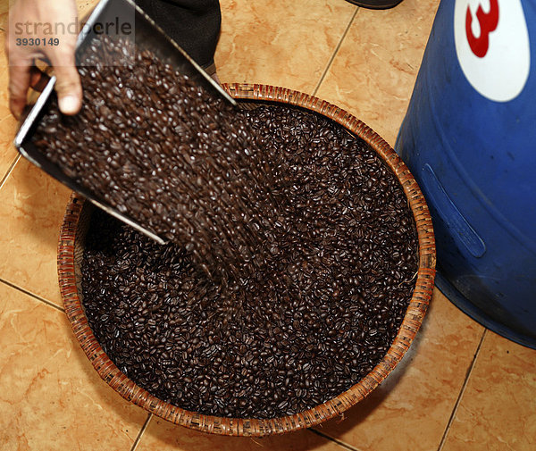 Robustakaffee im Kaffeelager der Simexco Daklak in Buon Ma Thuot City in Vietnam  Südostasien