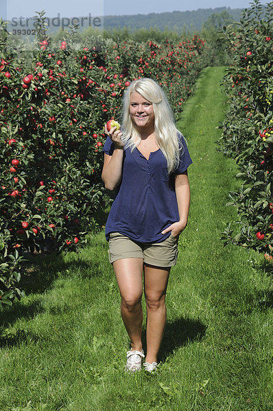 Blonde Frau geht in einer Apfelplantage