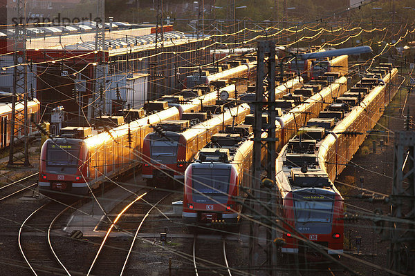 S-Bahn-Züge  Nahverkehrszüge warten auf Gleisen vor dem Hauptbahnhof auf ihren Einsatz  Essen  Nordrhein-Westfalen  Deutschland  Europa