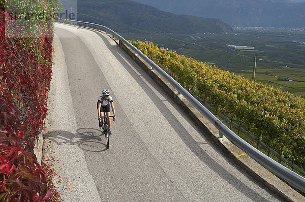 Rennrad-Fahrerin auf der Südtiroler Weinstraße  Kalterer See  Südtirol  Italien  Europa