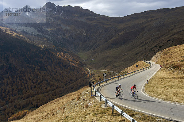 Rennrad-Fahrerin und Fahrer auf Penserjochstraße  Südtirol  Italien  Europa