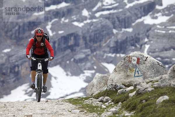 Mountainbike-Fahrerin am Limo-Pass im Naturpark Fanes-Sennes-Prags  Wegmarkierung auf Stein Trentino  Südtirol  Italien  Europa