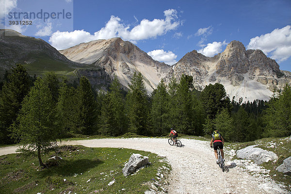 Mountainbike-Fahrerin und Fahrer am Limo-Pass im Naturpark Fanes-Sennes-Prags  Trentino  Südtirol  Italien  Europa