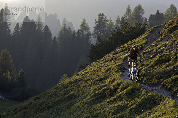 Mountainbike-Fahrerin  Fodara Vedla-Mulde  Naturpark Fanes-Sennes-Prags  Veneto  Südtirol  Italien  Europa