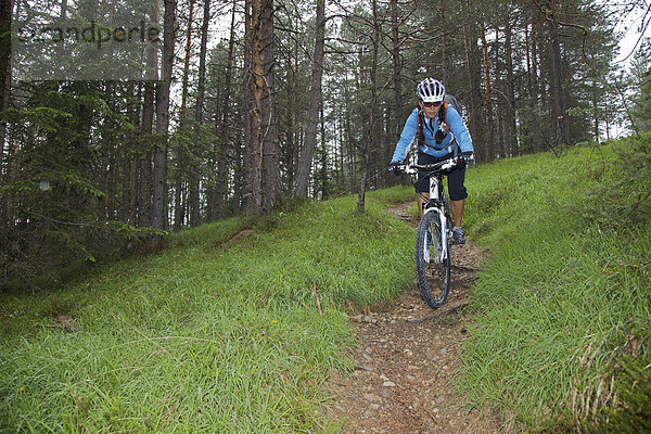 Mountainbike Fahrerin auf Singletrail im Wald bei St. Vigil  Naturpark Fanes-Sennes-Prags  Trentino  Südtirol  Italien  Europa
