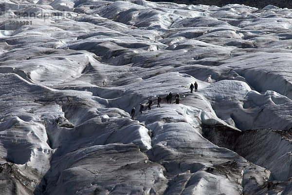 Touristengruppe auf dem Gletscher Skaftafellsjökull  Vatnajökull  Island  Europa