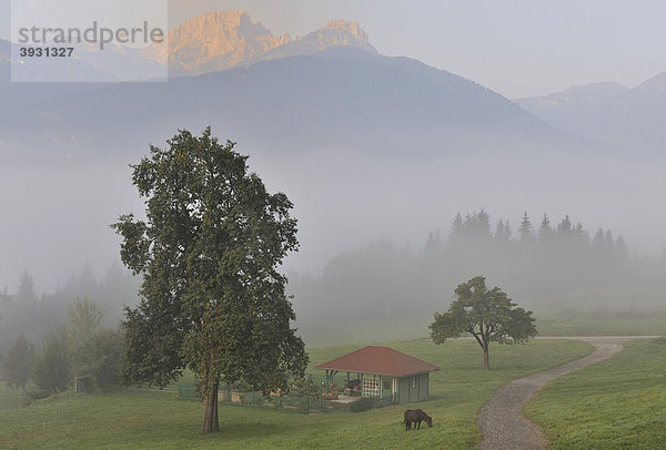 Landschaft im Herbst in der Nähe von Villach  Kärnten  Österreich  Europa