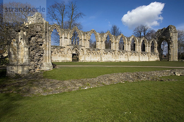 Ruinen der St. Mary's Abbey Abtei  Museum Gardens botanischer Garten  York  England  Vereinigtes Königreich  Europa