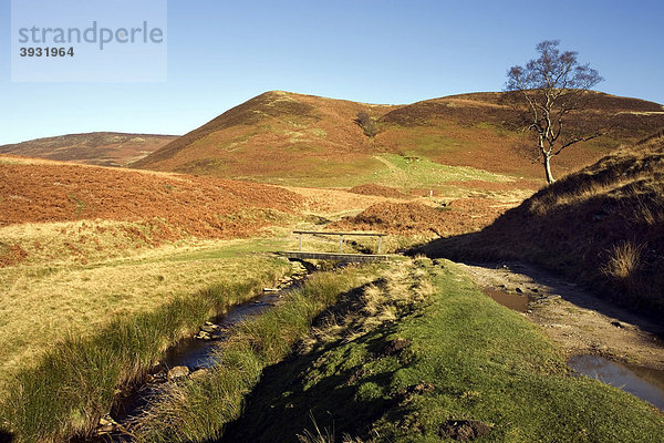 Howden Moor  Blick in Richtung Little Moor  Derbyshire  England  Vereinigtes Königreich  Europa