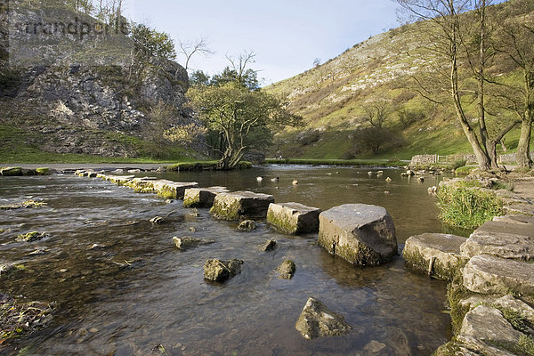 Dovedale Trittsteine  Derbyshire  England  Vereinigtes Königreich  Europa