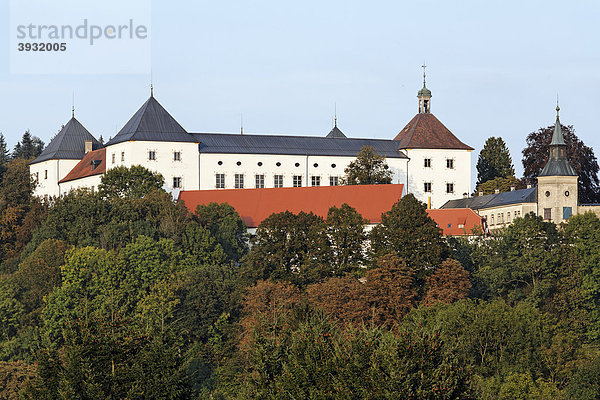 Fürstliches Schloss Wolfegg und Pfarrkirche  Allgäu  Oberschwaben  Baden-Württemberg  Deutschland  Europa