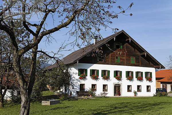 Bauerngehöft von 1860  Mondseer Land  Salzkammergut  Oberösterreich  Österreich  Europa