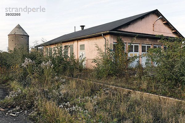 Hochbunker und leerstehender Schuppen  überwachsenes Gelände  früheres Ausbesserungswerk der Bahn  2003 stillgelegt  Duisburg-Wedau  Nordrhein-Westfalen  Deutschland  Europa