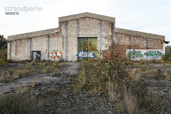 Alte Werkshalle  überwachsenes Gelände  früheres Ausbesserungswerk der Bahn  2003 stillgelegt  Duisburg-Wedau  Nordrhein-Westfalen  Deutschland  Europa