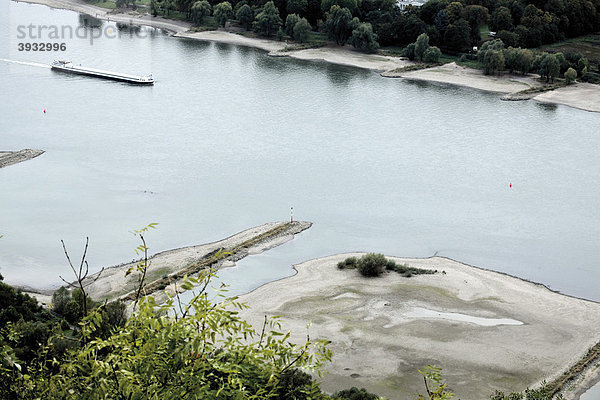 Blick vom Drachenfels auf Niedrigwasser im Rhein  bei Rhöndorf  Nordrhein-Westfalen  Deutschland  Europa