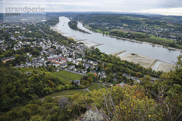 Blick vom Drachenfels auf Rhöndorf und die Insel Nonnenwerth  Niedrigwasser im Rhein  Nordrhein-Westfalen  Deutschland  Europa