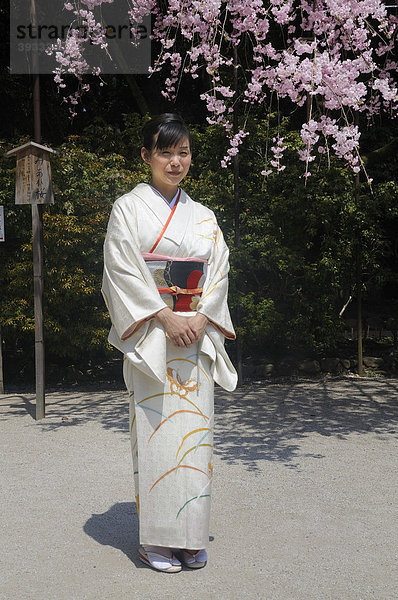 Japanerin während der Kirschblüte im Kimono  Kamigamo Schrein in Kyoto  Japan  Ostasien  Asien