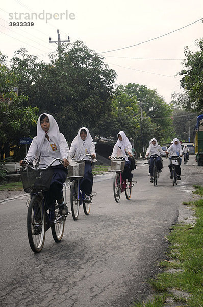 Moslemische Schülerinnen in Schuluniform auf dem Fahrrad zur Schule  Jogyakarta  Mitteljava  Indonesien  Südostasien  Asien