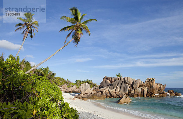 Kokospalmen (Cocos nucifera) und Granitfelsen an der Anse Cocos  Insel La Digue  Seychellen  Afrika  Indischer Ozean