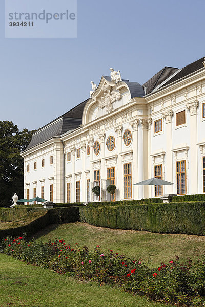 Schloss Halbturn  Burgenland  Österreich  Europa