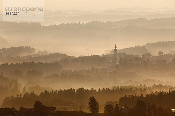 Morgennebel  St. Stefan ob Stainz  Schilcherstraße  Steiermark  Österreich  Europa