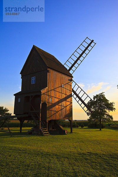 Windmühle in der Abendsonne in Altbelgern an der Elbe  Brandenburg  Deutschland  Europa