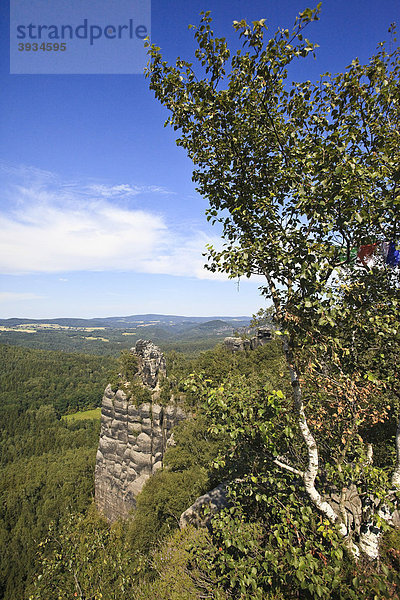 Blick von den Schrammsteinen  Nationalpark Sächsische Schweiz  Elbsandsteingebirge  Sachsen  Deutschland  Europa