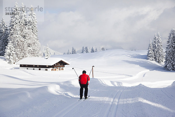 Skiläufer in der Loipe und typisches bayrisches Haus  Bayern  Deutschland  Europa