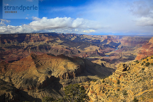 Blick in den Grand Canyon  Arizona  USA  Nordamerika