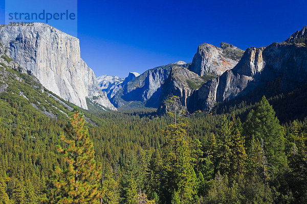 Curry  Yosemite Village  Yosemite Nationalpark California  USA  Nordamerika