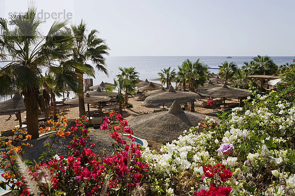 Strandanlage vom Hotel Savoy  Sharm el Sheikh  Ägypten  Afrika