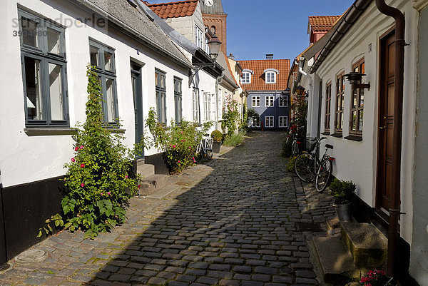 Kopfsteingepflasterter Straßenzug in der Altstadt von Aalborg  _lborg  Region Nordjylland  Dänemark  Skandinavien  Europa