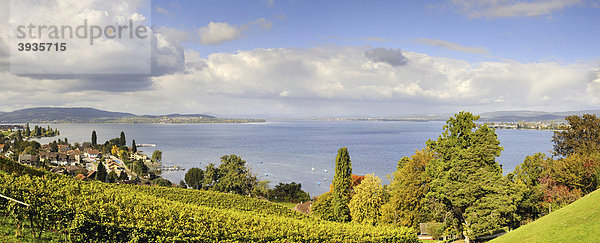 Panoramablick vom Arenenberg über die Rebhänge zur Gemeinde Mannenbach und auf den westlichen Bodensee  Gemeinde Salenstein  Kanton Thurgau  Schweiz  Europa