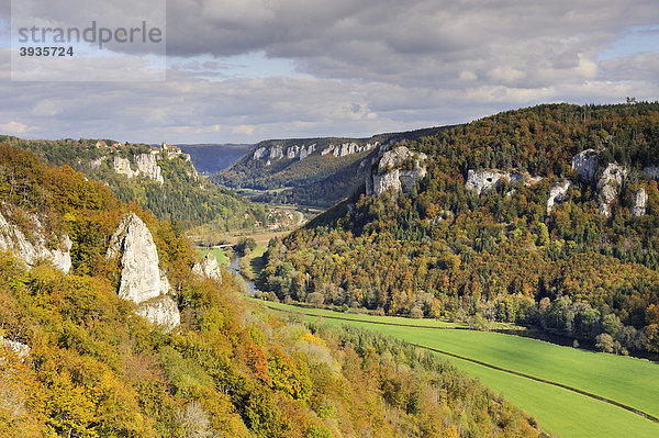 Blick in das obere Donautal  Landkreis Sigmaringen  Baden-Württemberg  Deutschland  Europa