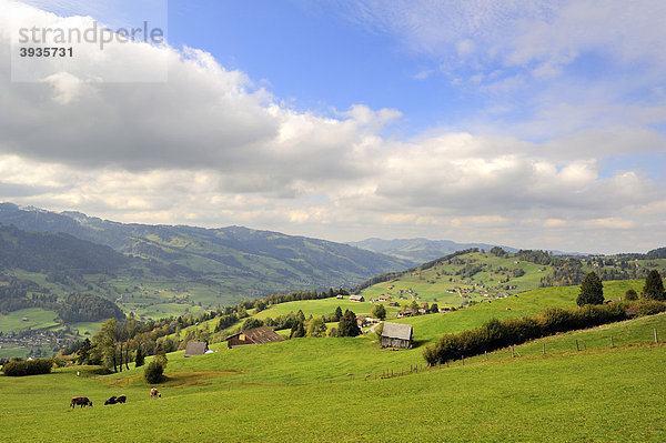 Blick von einer Bergweide in das Thurtal und die Region Toggenburg bei Wattwil  Kanton St. Gallen  Schweiz  Europa