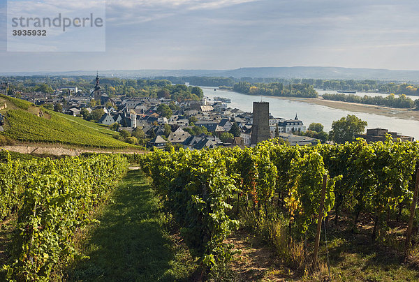 Weinstadt Rüdesheim  Rheingau  Hessen  Deutschland  Europa