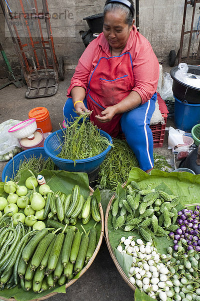 Frisches Gemüse auf einem Markt  Ban Nak Kiao  Nonthaburi  Bang Yai  Bangkok  Thailand  Asien