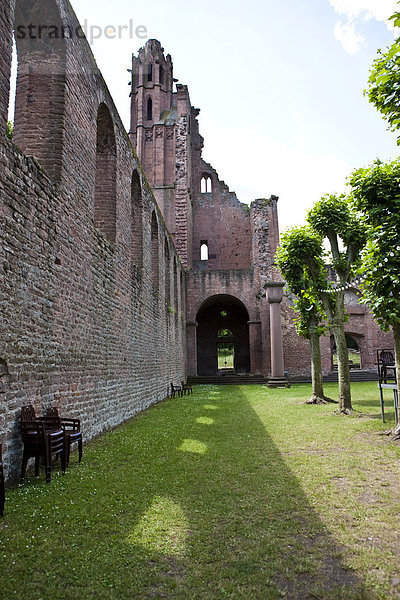 Das Kloster Limburg  vormals Abtei Zum heilgen Kreuz oder Kloster Limburg an der Haardt  Bad Dürkheim  Rheinland-Pfalz  Deutschland  Europa
