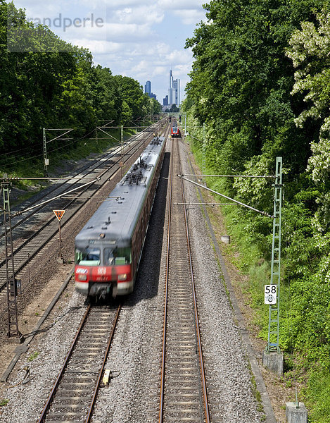 Ein Zug verlässt Frankfurt  hinten die Skyline von Frankfurt am Main  Hessen  Deutschland  Europa