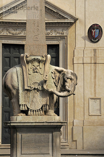 Berninis Elefant  Obelisk  Rom  Italien  Europa
