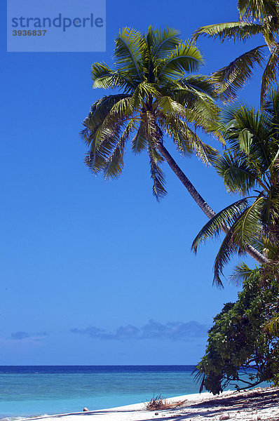 Nanuku Levu  Fidschi-Inseln  Fiji  Südsee  Ozeanien