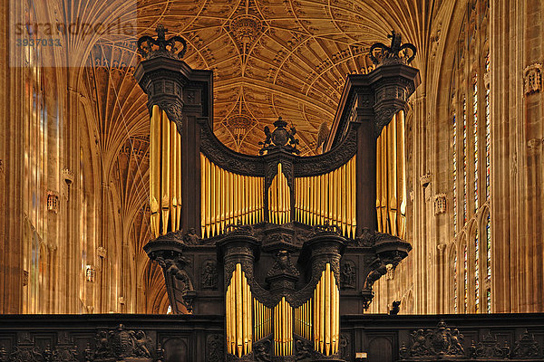 Orgel  oben gotisches Fächergewölbe der King's College Chapel  gegründet 1441 von König Heinrich VI.  King's Parade  Cambridge  Cambridgeshire  England  Großbritannien  Europa